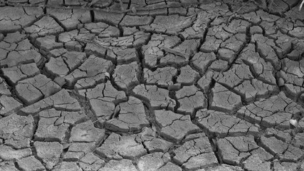 Cracked red clay and white salt on the surface in a dried riverbed in the desert of New Mexico, USA - Powered by Adobe