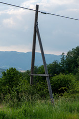 palo telefono