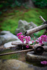 Japanese Hand watershed