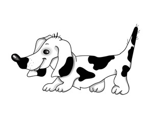 Dachshund Dog in a white background. Vector illustration.
