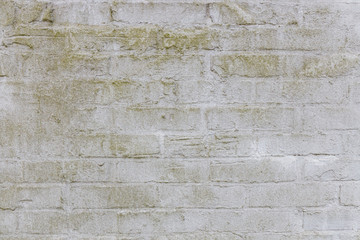 Alte weiße Backsteinwand, weiße Farbe, Moos, verwittert, gestrichen