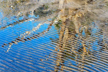 Beautiful driftwood formations are seen reflected in the surf and wavy sand on shore of Jekyll Island in Georgia's Golden Isles, a popular travel destination in the southeastern United States.