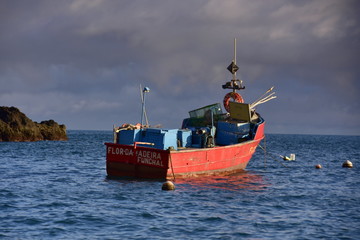 fishing boats in a port off the coast of Madeira