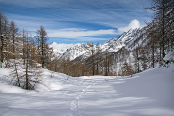 Fototapeta na wymiar winter snowy mountains landscape panorama. Italian Alps, Gran Paradiso National Park. Italy