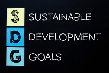 Sustainable Development Goals word concept