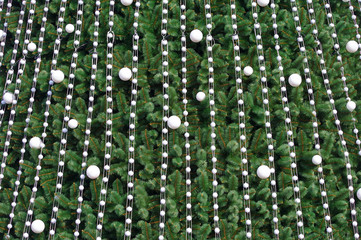 light bulbs on a green Christmas tree