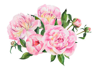 Beautiful bouquet with peonies, peony flowers on isolated white background, watercolor hand drawing stock illustration.