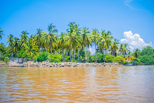 ri&oacute; sucio con pierdas e palmas de cocos 