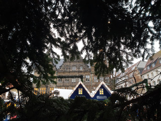 Blick durch Tannenzweige auf den Lambertiweihnachtsmarkt in Münster