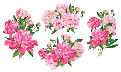 Set, collection of bouquets with peonies, peony flowers on isolated white background, watercolor hand drawing stock illustration.