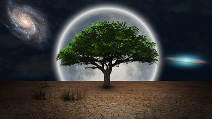 Surrealism. Green tree of life in arid land. Full moon and galaxies in night sky