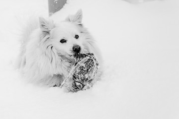 Nick is swimming in the snow