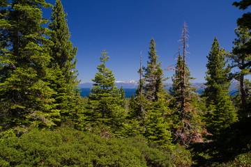 Lake Tahoe Hike