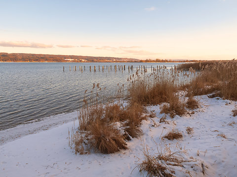 Seeufer mit Schilf und Schnee an einem bayerischen See in der Winterzeit