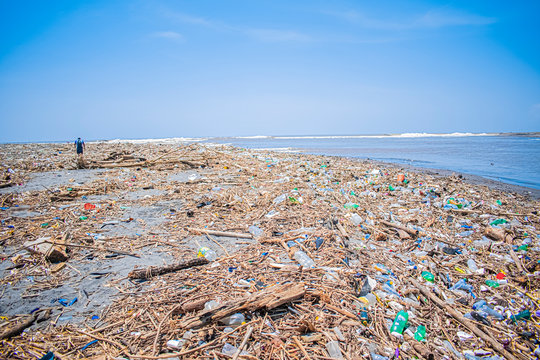 paisaje de playa con escombre e desechos 