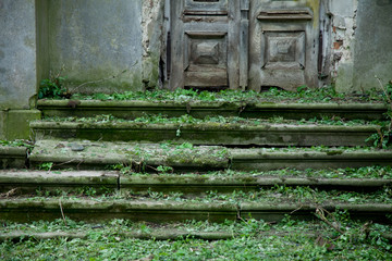 Thus passes the glory of the world (Sic transit gloria mundi). Ruins of Medieval castle. Overgrown stairs background.