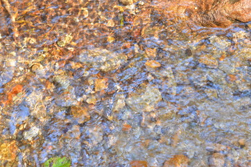 Ripples on the surface of the water. Spring in the forest. Close-up for use as background.