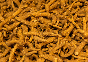 ginsing root, close up