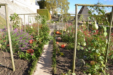 late pumpkins ripen in the autumn sun in the garden near the walls of the castle of Pau, France