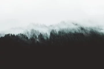 Crédence de cuisine en verre imprimé Gris 2 Paysage forestier Moody avec brouillard et brume