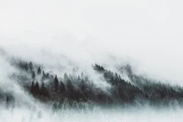 Rolgordijnen Humeurig boslandschap met mist en nevel © XtravaganT