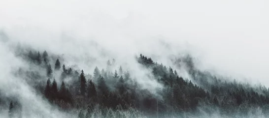 Zelfklevend Fotobehang Humeurig boslandschap met mist en nevel © XtravaganT