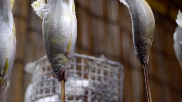 Japanese street food shioyaki grilled fish on stick, static close up
