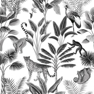 Tropical vintage botanical landscape, palm tree, sloth, monkey, leopard and crane floral seamless pattern white background. Exotic black and white jungle animal wallpaper.