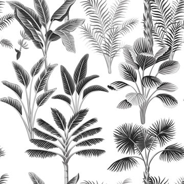 Tropical vintage botanical palm tree, banana tree floral seamless pattern white background. Exotic black and white jungle wallpaper. © good_mood