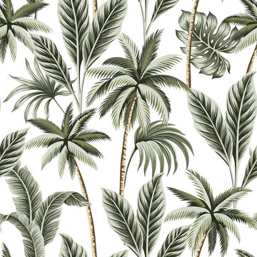Tropical vintage Hawaiian palm trees, banana and palm leaves floral seamless pattern white background. Exotic jungle wallpaper. © good_mood