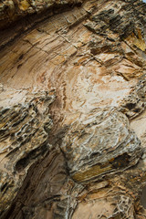 Point Reyes