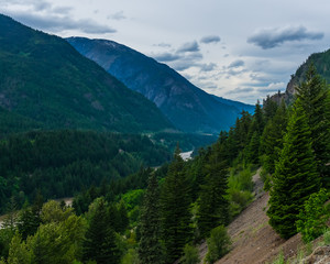 Naklejka premium Tree Filled Slopes
