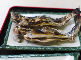 fresh fish on a plate