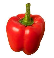 red bell pepper on a white background
