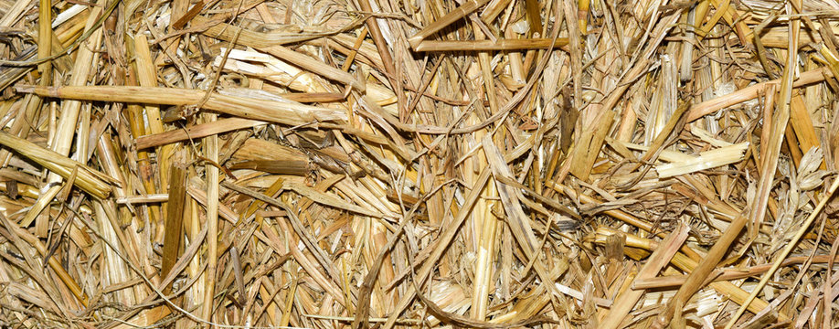 background of straw