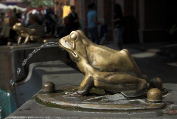 copper frog in a fountain in the Polish city of Toruń