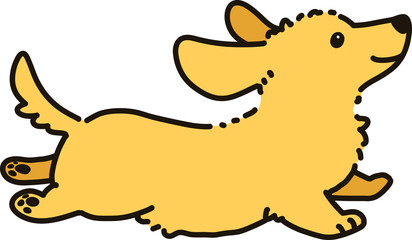 Outlined golden Miniature Dachshund jumping