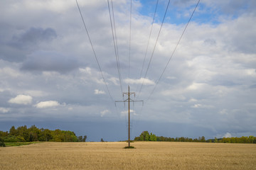 Electricity lines and posts on the golden yellow crop field in early autumn. Dramatic skyline, green row of forest in the background. Countryside in tiny North European country Estonia.