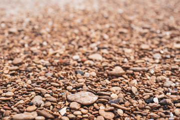 Sea pebble background