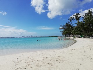 tropical beach and sea