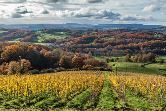 Donzenac (Corrèze, France) - Vallée de la Vézère et vignobles en automne