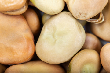 broad beans close up
