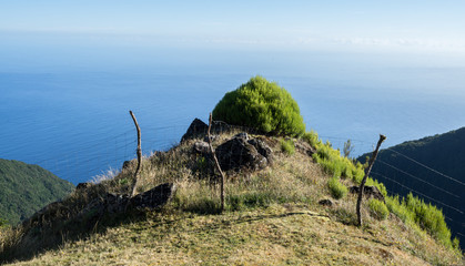 Tiny egg shaped hill in Fanal between slopes of mountains. Creates optically zigzag illusion....