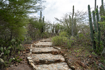 Aruba National Park  
