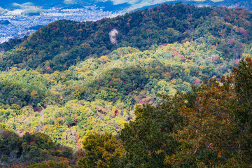 紅葉が始まりだした山の風景　　　東山　　京都