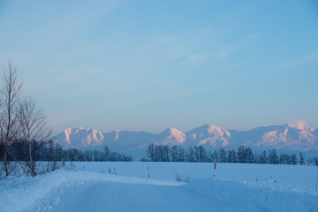 夕陽を反射する雪山　十勝岳連峰