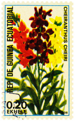 Flowers Cheiranthus cheiri on postage stamp