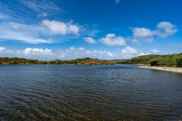 Flamingo Sanctonarium