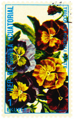 Flowers Tricolor roggli jatte
