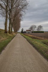 Fototapeta na wymiar road in the countryside with house and trees in winter